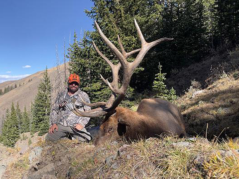 Wyoming Washakie Wilderness Elk Hunts