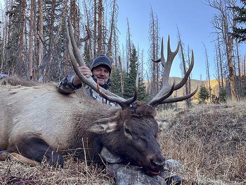 Wyoming Washakie Wilderness Elk Hunts