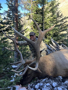 Wyoming Washakie Wilderness Elk Hunts