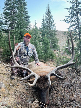 Wyoming Washakie Wilderness Elk Hunts