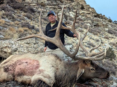 Nevada Trophy Quality Elk Hunts