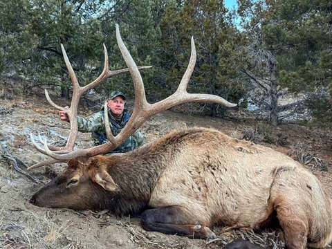 Nevada Trophy Quality Elk Hunts