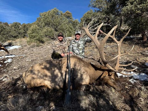 Nevada Trophy Quality Elk Hunts