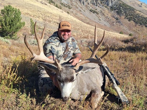 Top Quality Nevada Mule Deer Bucks