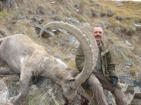 Mid-Asian Ibex in Kyrgyzstan