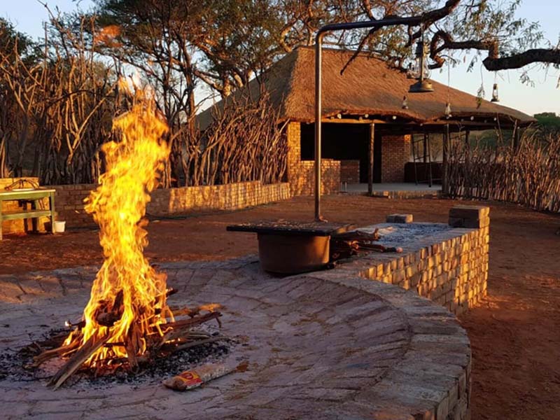South African 6 Animal Bushveld Safari