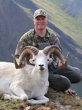 Alaska Wrangell Mountains Dall Sheep