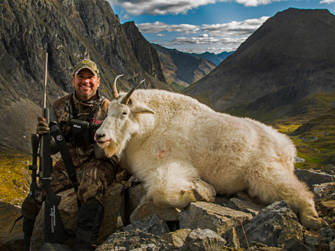 Large Bodied Yukon Mountain Goat 
