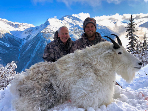 British Columbia Mountain Goat
