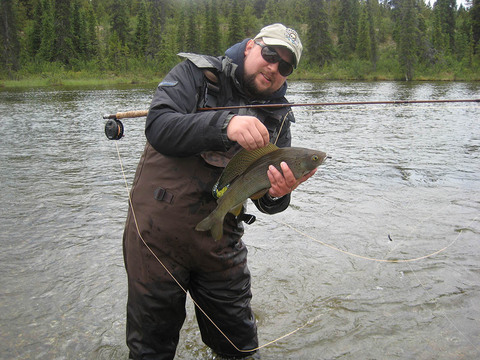 Yukon Giant Lake Trout