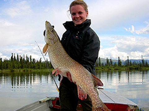 Yukon Giant Lake Trout