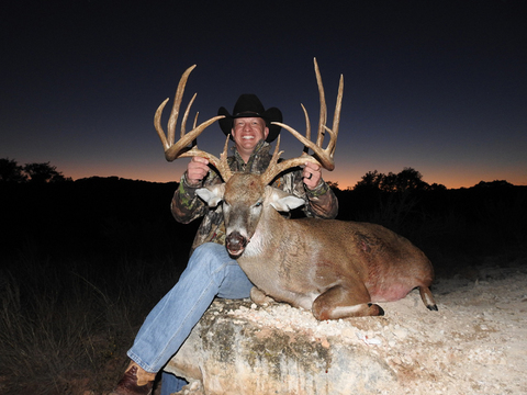 Massive Texas Whitetail (Estate)