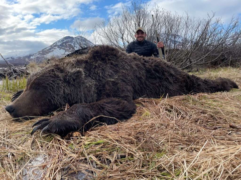 Interior Grizzly or Coastal Brown Bear
