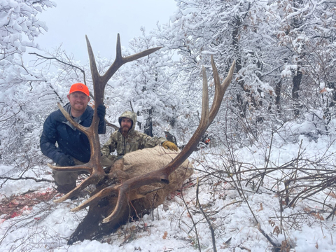 Colorado Unit 76 Elk Hunts