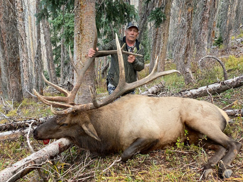 Colorado Unit 76 Elk Hunts