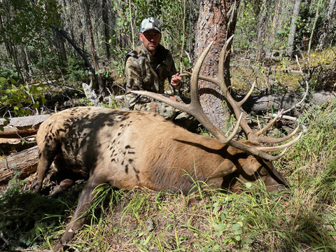 Colorado Unit 76 Elk Hunts