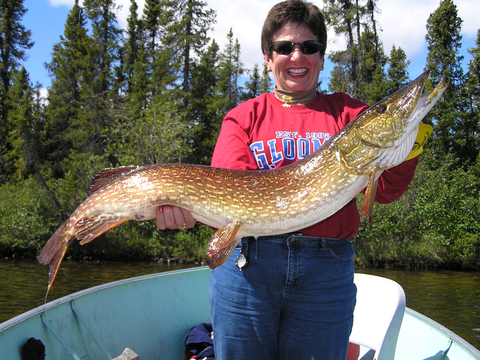 Northern Manitoba Fly-in Fishing Lodge