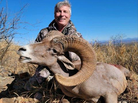 Mexico Desert Bighorn Sheep Hunt