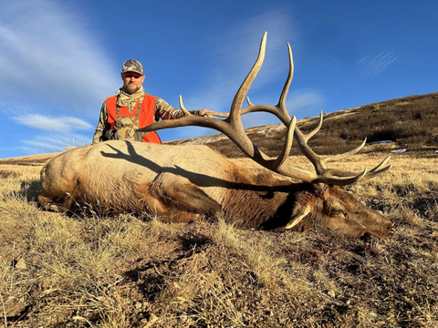 Colorado Unit 76 Elk Hunts