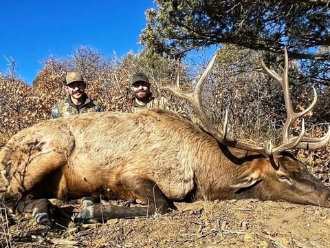 Colorado Unit 76 Elk Hunts
