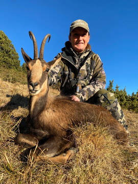 Spain Ibex