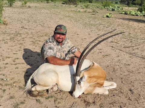 Free-Range Texas Axis and Scimitar Oryx