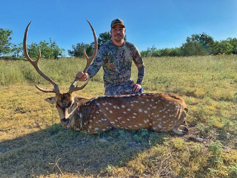 Free-Range Texas Axis and Scimitar Oryx