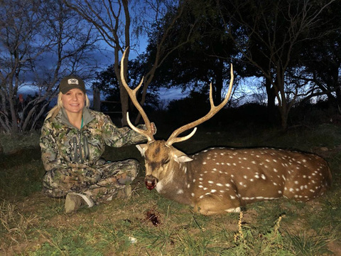 Free-Range Texas Axis and Scimitar Oryx