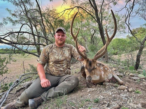 Free-Range Texas Axis and Scimitar Oryx