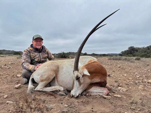 Free-Range Texas Axis and Scimitar Oryx