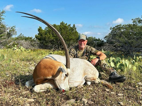 Free-Range Texas Axis and Scimitar Oryx